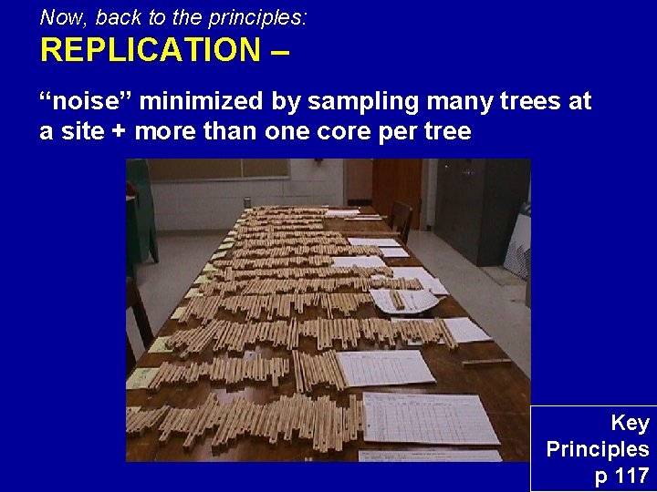 Now, back to the principles: REPLICATION – “noise” minimized by sampling many trees at