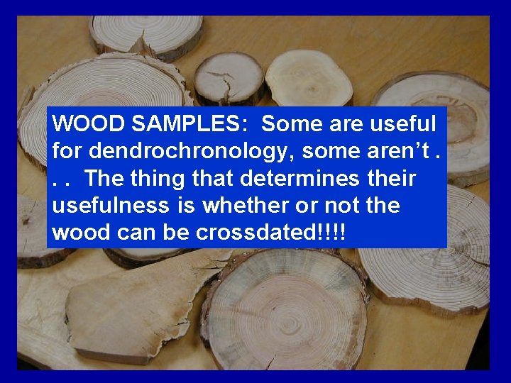 WOOD SAMPLES: Some are useful for dendrochronology, some aren’t. . . The thing that