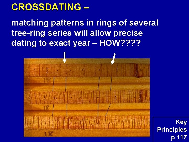 CROSSDATING – matching patterns in rings of several tree-ring series will allow precise dating