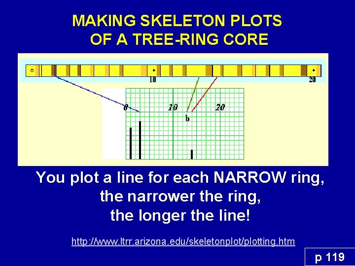MAKING SKELETON PLOTS OF A TREE-RING CORE You plot a line for each NARROW