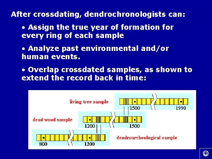 After crossdating, dendrochronologists can: • Assign the true year of formation for every ring