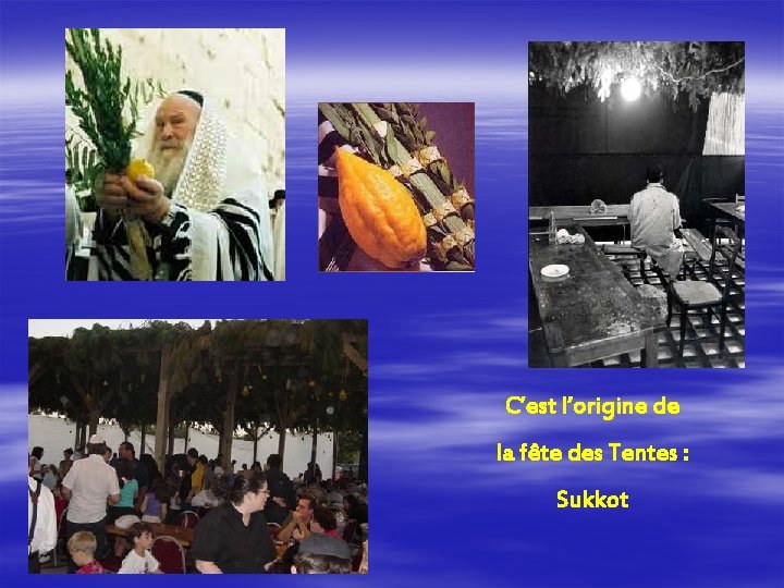 C’est l’origine de la fête des Tentes : Sukkot 