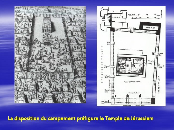 La disposition du campement préfigure le Temple de Jérusalem 