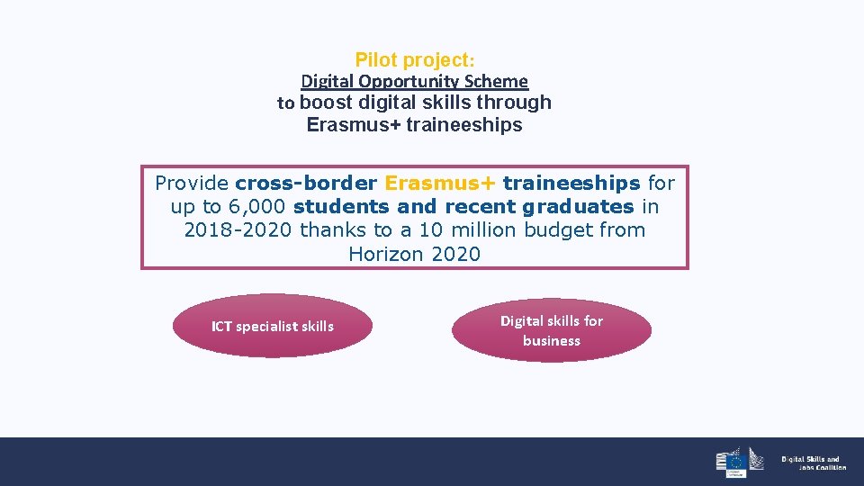 Pilot project: Digital Opportunity Scheme to boost digital skills through Erasmus+ traineeships Provide cross-border