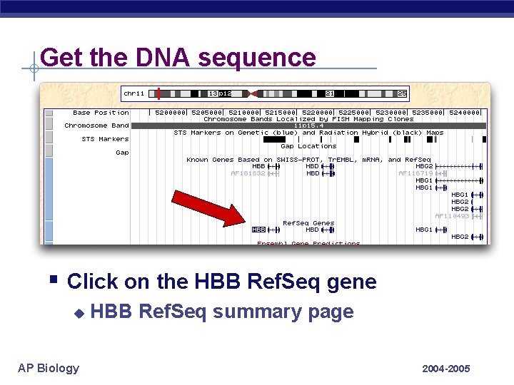 Get the DNA sequence § Click on the HBB Ref. Seq gene u AP