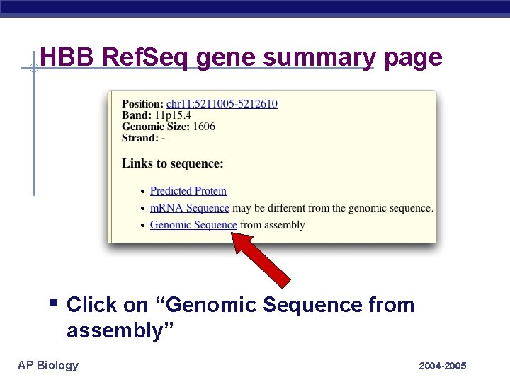 HBB Ref. Seq gene summary page § Click on “Genomic Sequence from assembly” AP