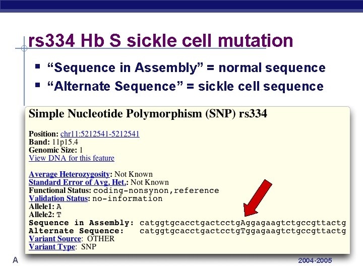 rs 334 Hb S sickle cell mutation § “Sequence in Assembly” = normal sequence
