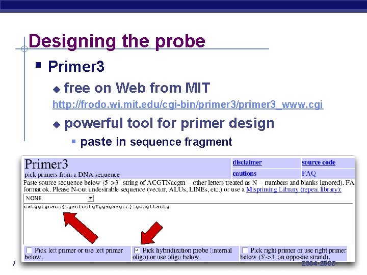 Designing the probe § Primer 3 u free on Web from MIT http: //frodo.