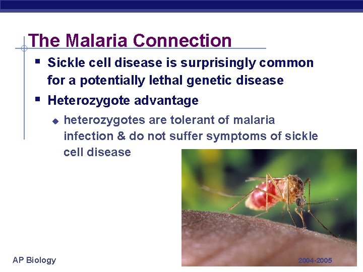 The Malaria Connection § Sickle cell disease is surprisingly common for a potentially lethal