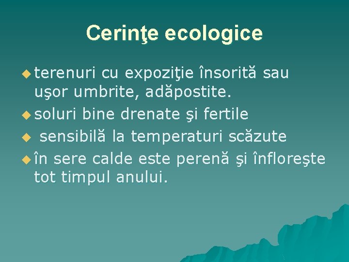 Cerinţe ecologice u terenuri cu expoziţie însorită sau uşor umbrite, adăpostite. u soluri bine