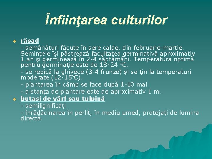 Înfiinţarea culturilor u u răsad - semănături făcute în sere calde, din februarie-martie. Seminţele