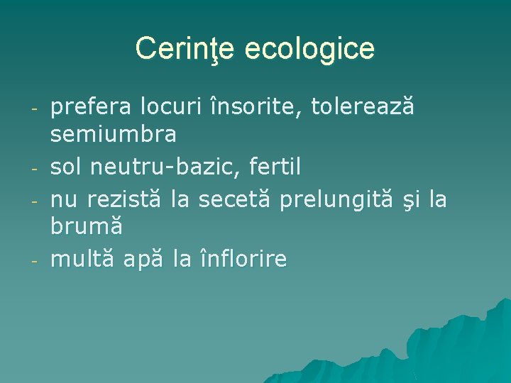 Cerinţe ecologice - prefera locuri însorite, tolerează semiumbra sol neutru-bazic, fertil nu rezistă la