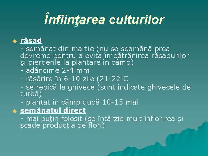 Înfiinţarea culturilor u u răsad - semănat din martie (nu se seamănă prea devreme