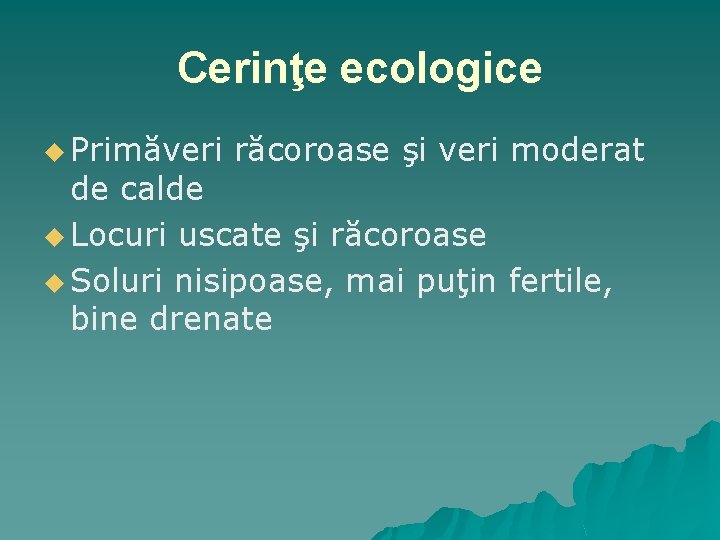 Cerinţe ecologice u Primăveri răcoroase şi veri moderat de calde u Locuri uscate şi