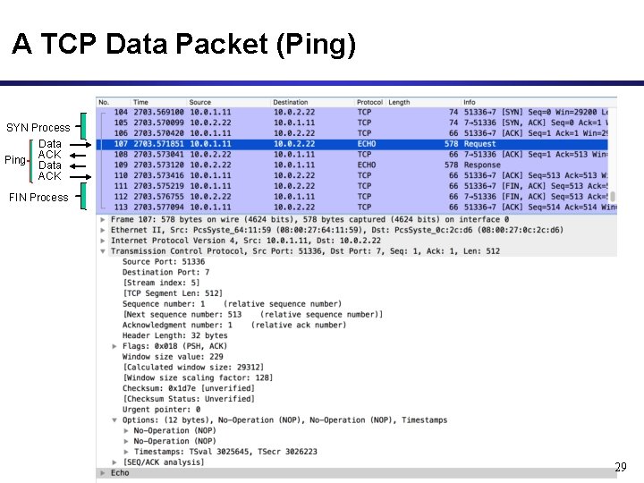 A TCP Data Packet (Ping) SYN Process Data Ping ACK Data ACK FIN Process