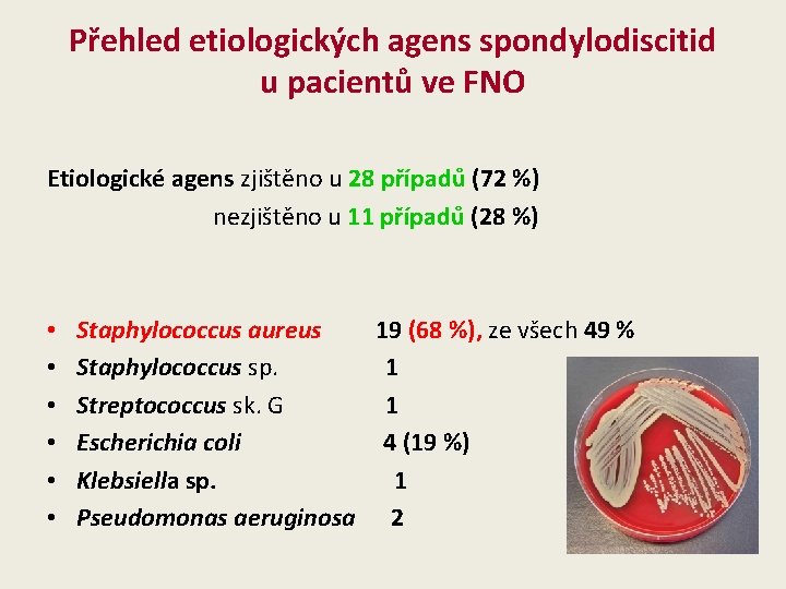 Přehled etiologických agens spondylodiscitid u pacientů ve FNO Etiologické agens zjištěno u 28 případů