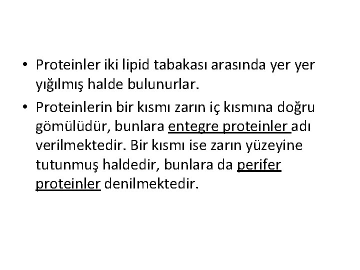  • Proteinler iki lipid tabakası arasında yer yığılmış halde bulunurlar. • Proteinlerin bir