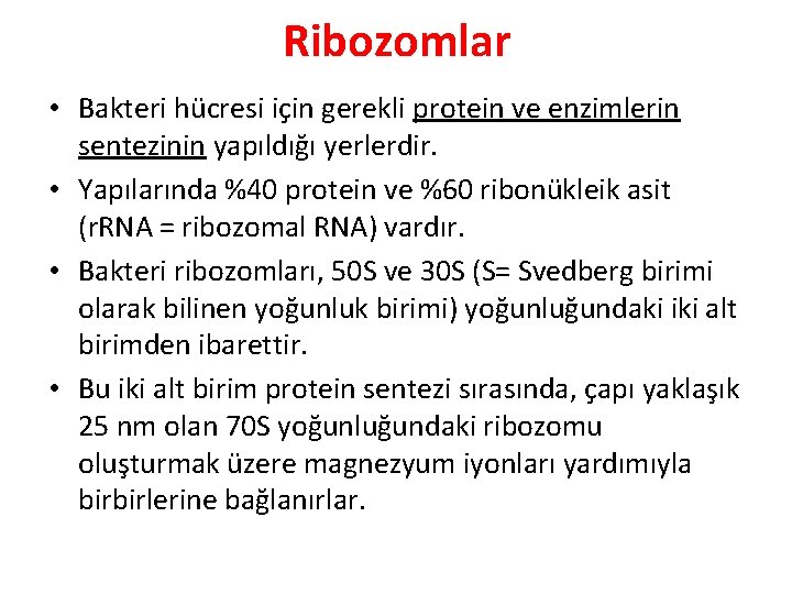 Ribozomlar • Bakteri hücresi için gerekli protein ve enzimlerin sentezinin yapıldığı yerlerdir. • Yapılarında