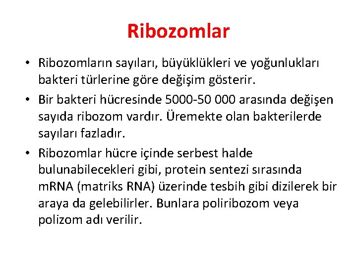 Ribozomlar • Ribozomların sayıları, büyüklükleri ve yoğunlukları bakteri türlerine göre değişim gösterir. • Bir