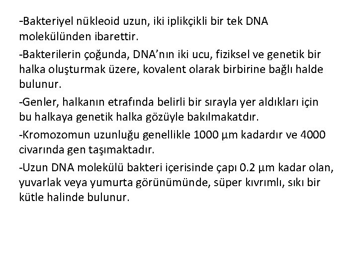 -Bakteriyel nükleoid uzun, iki iplikçikli bir tek DNA molekülünden ibarettir. -Bakterilerin çoğunda, DNA’nın iki