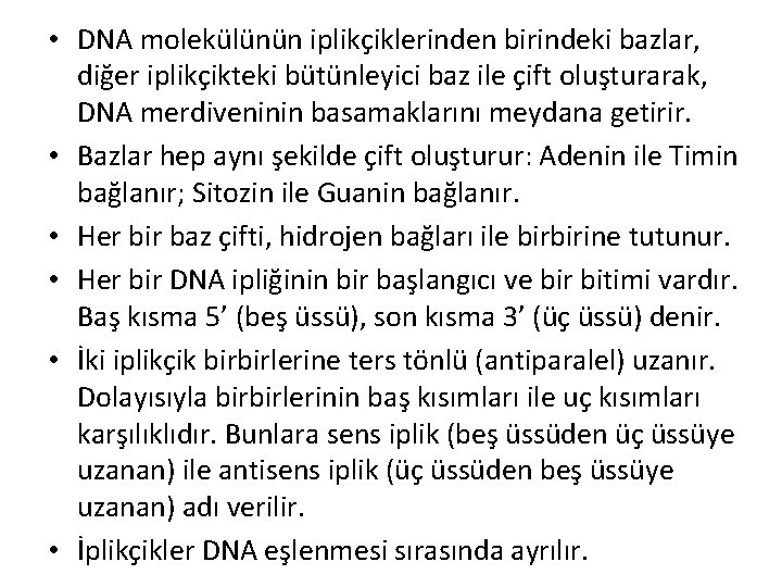  • DNA molekülünün iplikçiklerinden birindeki bazlar, diğer iplikçikteki bütünleyici baz ile çift oluşturarak,
