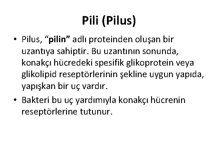 Pili (Pilus) • Pilus, “pilin” adlı proteinden oluşan bir uzantıya sahiptir. Bu uzantının sonunda,