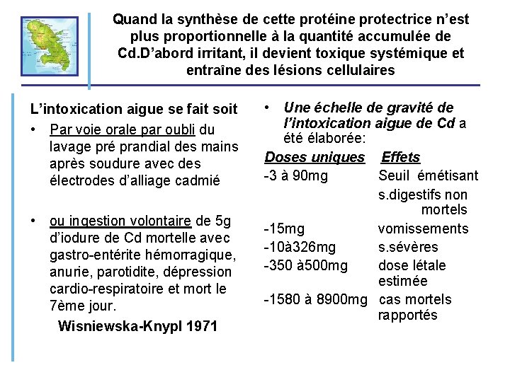 Quand la synthèse de cette protéine protectrice n’est plus proportionnelle à la quantité accumulée