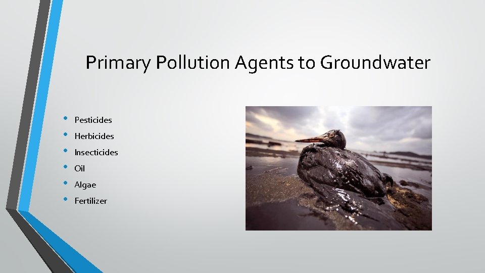 Primary Pollution Agents to Groundwater • • • Pesticides Herbicides Insecticides Oil Algae Fertilizer