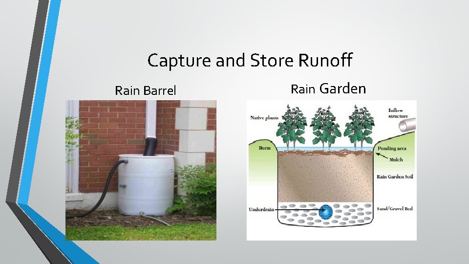 Capture and Store Runoff Rain Barrel Rain Garden 