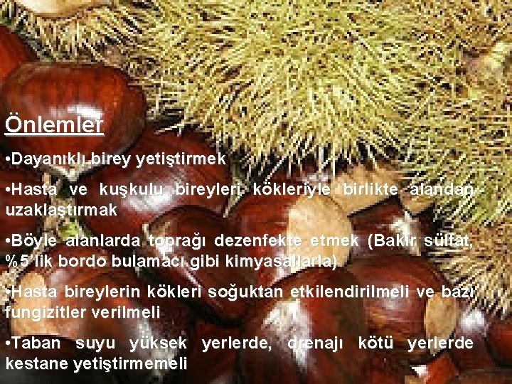 Önlemler • Dayanıklı birey yetiştirmek • Hasta ve kuşkulu bireyleri kökleriyle birlikte alandan uzaklaştırmak