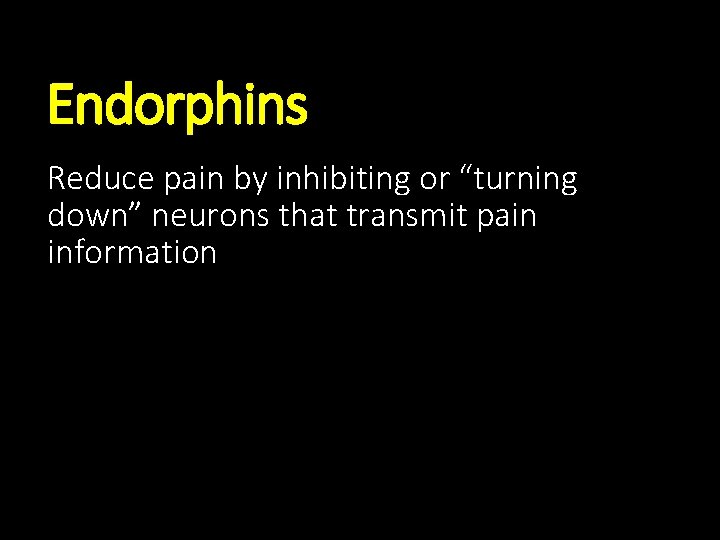 Endorphins Reduce pain by inhibiting or “turning down” neurons that transmit pain information 