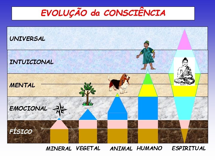 EVOLUÇÃO da CONSCIÊNCIA UNIVERSAL INTUICIONAL MENTAL EMOCIONAL FÍSICO MINERAL VEGETAL ANIMAL HUMANO ESPIRITUAL 