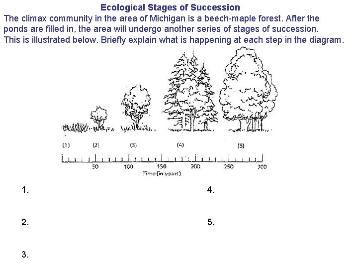 Ecological Stages of Succession The climax community in the area of Michigan is a
