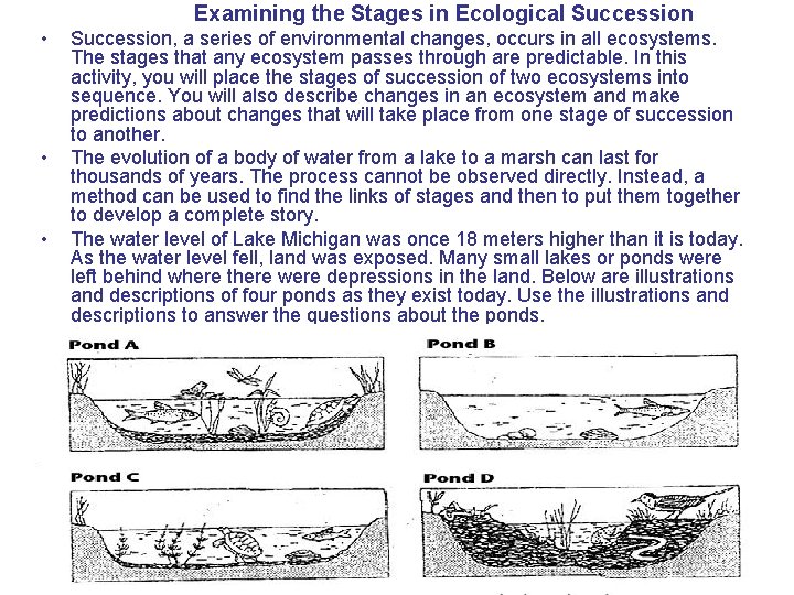 Examining the Stages in Ecological Succession • • • Succession, a series of environmental
