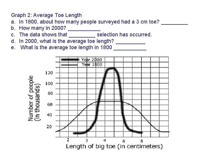 Graph 2: Average Toe Length a. In 1800, about how many people surveyed had