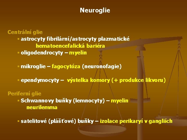 Neuroglie Centrální glie § astrocyty fibrilární/astrocyty plazmatické hematoencefalická bariéra § oligodendrocyty – myelin §