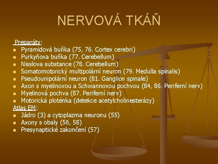 NERVOVÁ TKÁŇ Preparáty: n Pyramidová buňka (75, 76. Cortex cerebri) n Purkyňova buňka (77.