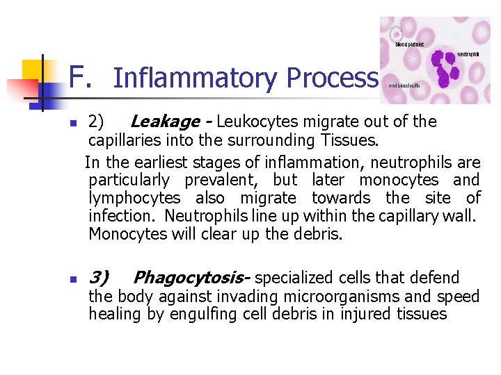 F. Inflammatory Process 2) Leakage - Leukocytes migrate out of the capillaries into the