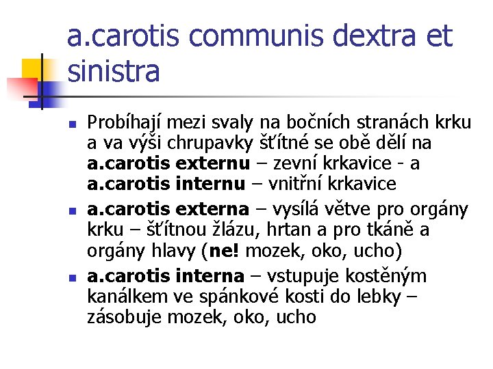 a. carotis communis dextra et sinistra n n n Probíhají mezi svaly na bočních