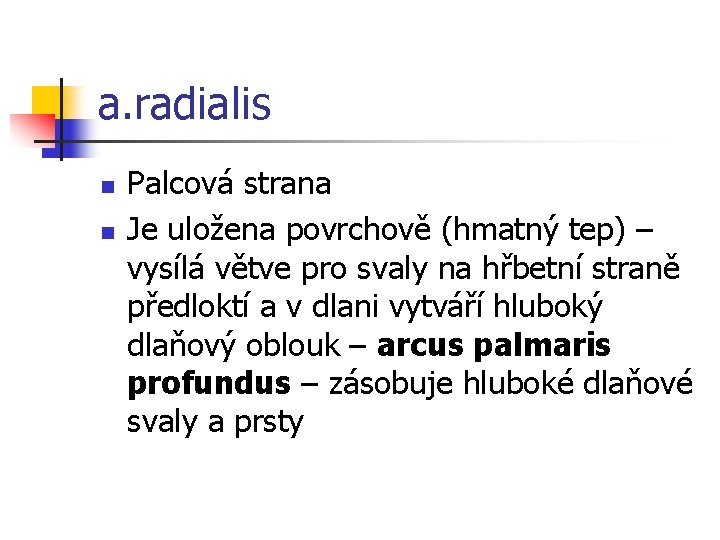 a. radialis n n Palcová strana Je uložena povrchově (hmatný tep) – vysílá větve