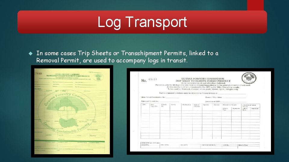Log Transport In some cases Trip Sheets or Transshipment Permits, linked to a Removal