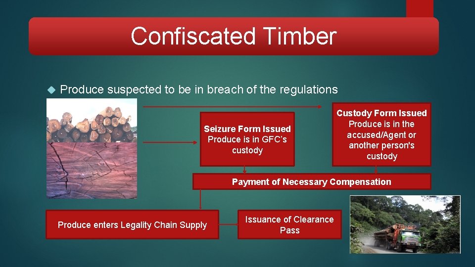 Confiscated Timber Produce suspected to be in breach of the regulations Seizure Form Issued
