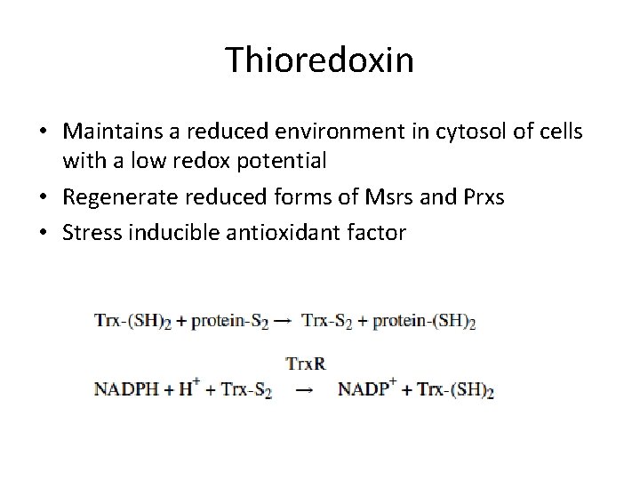 Thioredoxin • Maintains a reduced environment in cytosol of cells with a low redox