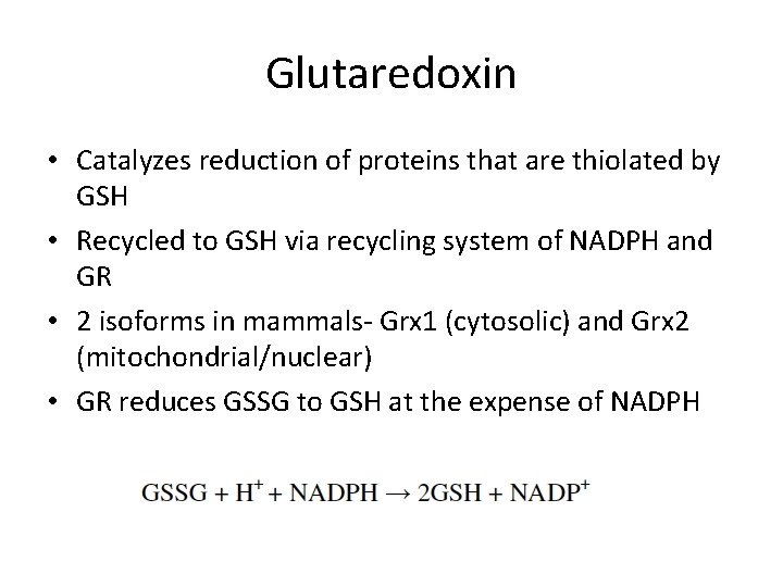 Glutaredoxin • Catalyzes reduction of proteins that are thiolated by GSH • Recycled to