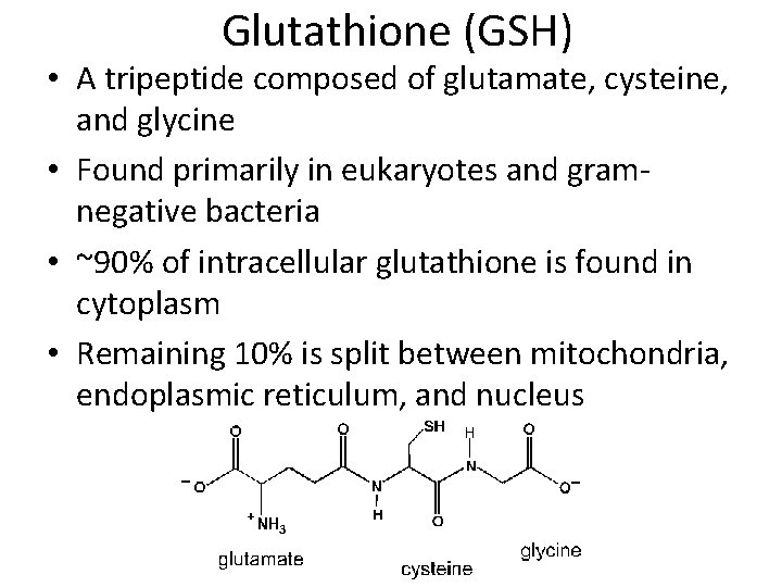 Glutathione (GSH) • A tripeptide composed of glutamate, cysteine, and glycine • Found primarily