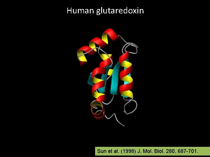 Human glutaredoxin Sun et al. (1998) J. Mol. Biol. 280, 687 -701. 
