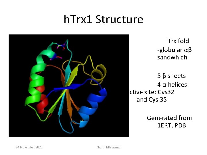 h. Trx 1 Structure Trx fold -globular αβ sandwhich 5 β sheets 4 α
