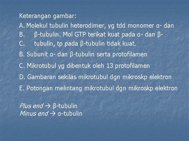 Keterangan gambar: A. Molekul tubulin heterodimer, yg tdd monomer α- dan B. β-tubulin. Mol