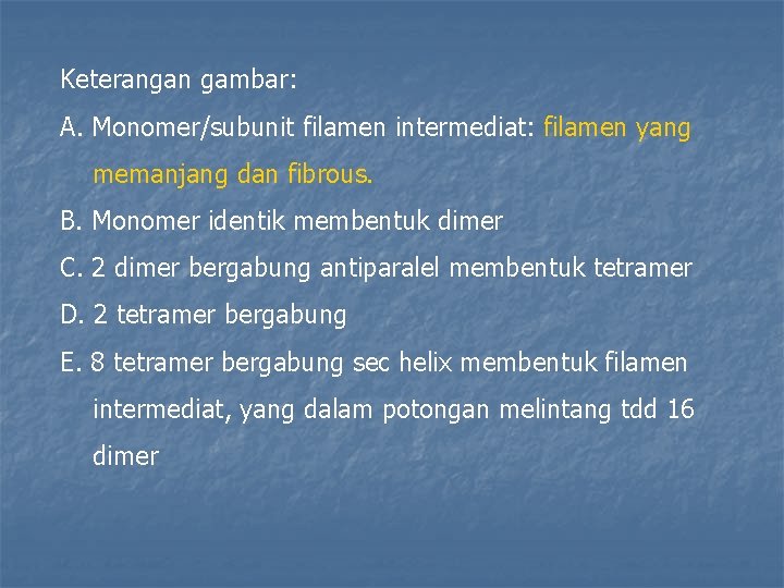 Keterangan gambar: A. Monomer/subunit filamen intermediat: filamen yang memanjang dan fibrous. B. Monomer identik