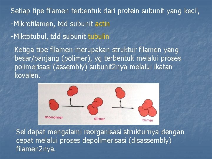 Setiap tipe filamen terbentuk dari protein subunit yang kecil, -Mikrofilamen, tdd subunit actin -Miktotubul,